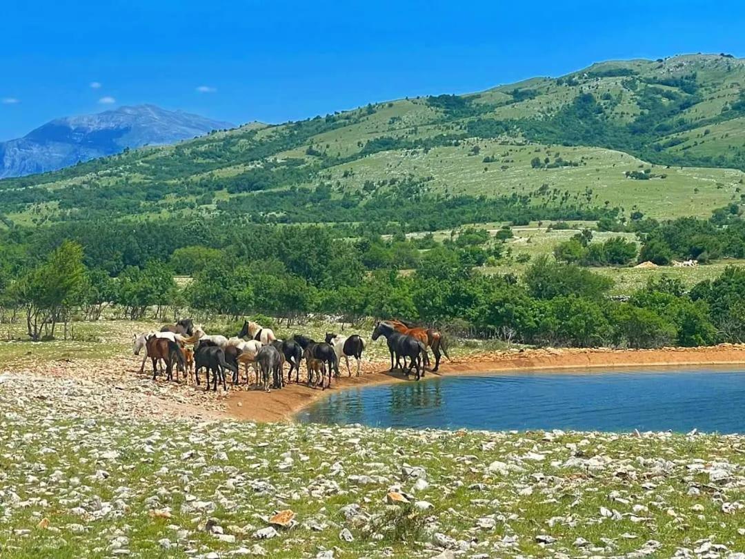 Holiday Resort Zlatni Dol Mostar Goranci Екстериор снимка