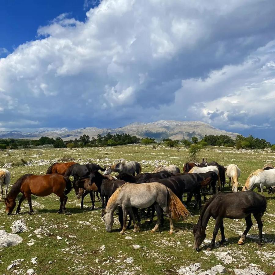 Holiday Resort Zlatni Dol Mostar Goranci Екстериор снимка